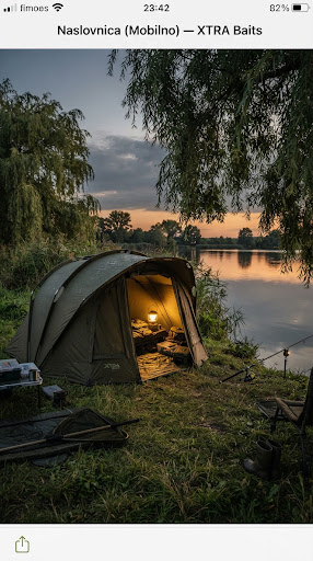 Olive green carp bivvy tent set up on grassy lake shore under willow trees during tranquil dusk, warm camp lantern glowing inside